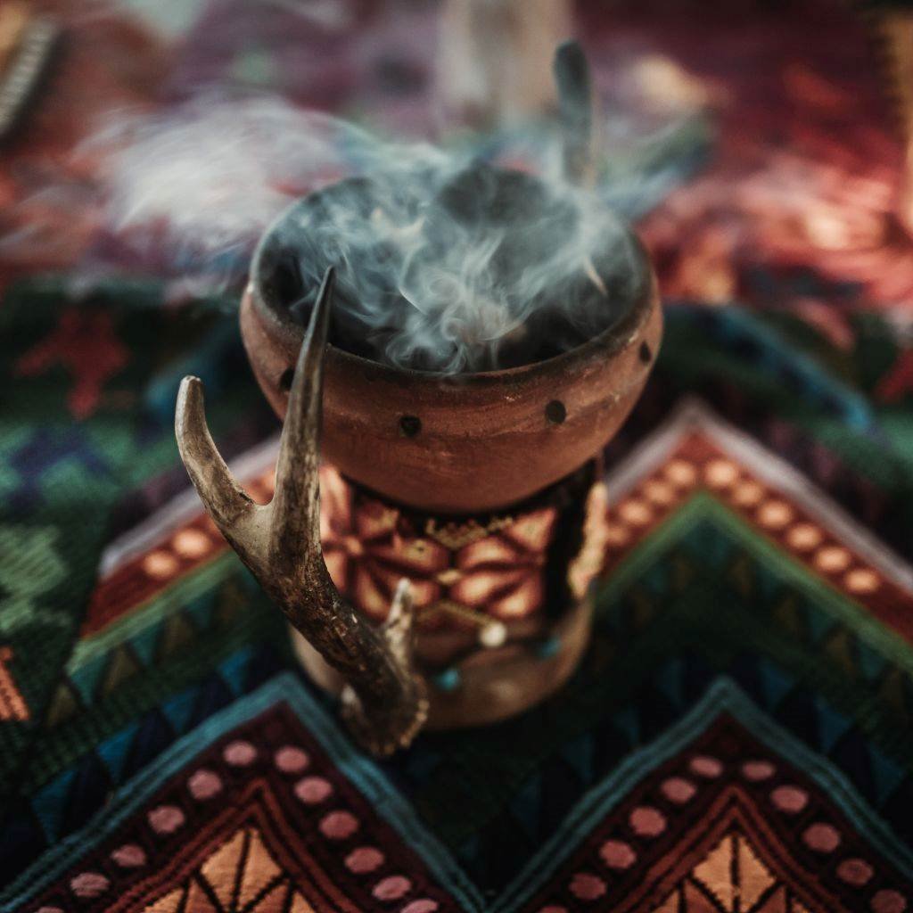 Ayahuasca