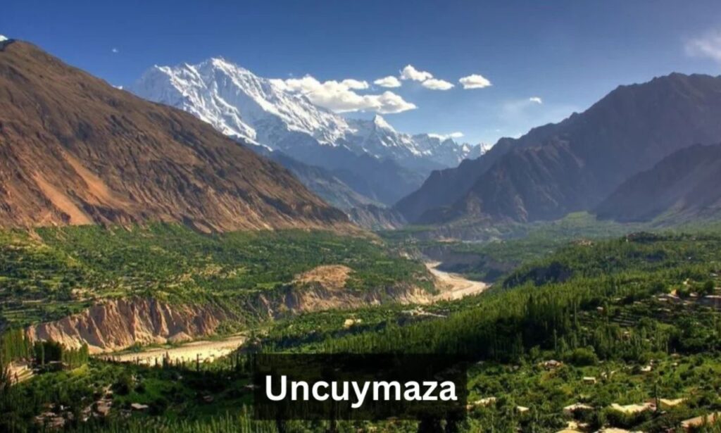Uncuymaza: Trends, Insights and Digital Future